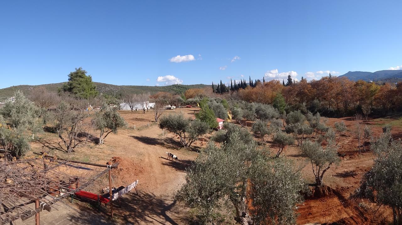 Relax In 'Crazy Farm' Vila Asprokhorion Exterior foto