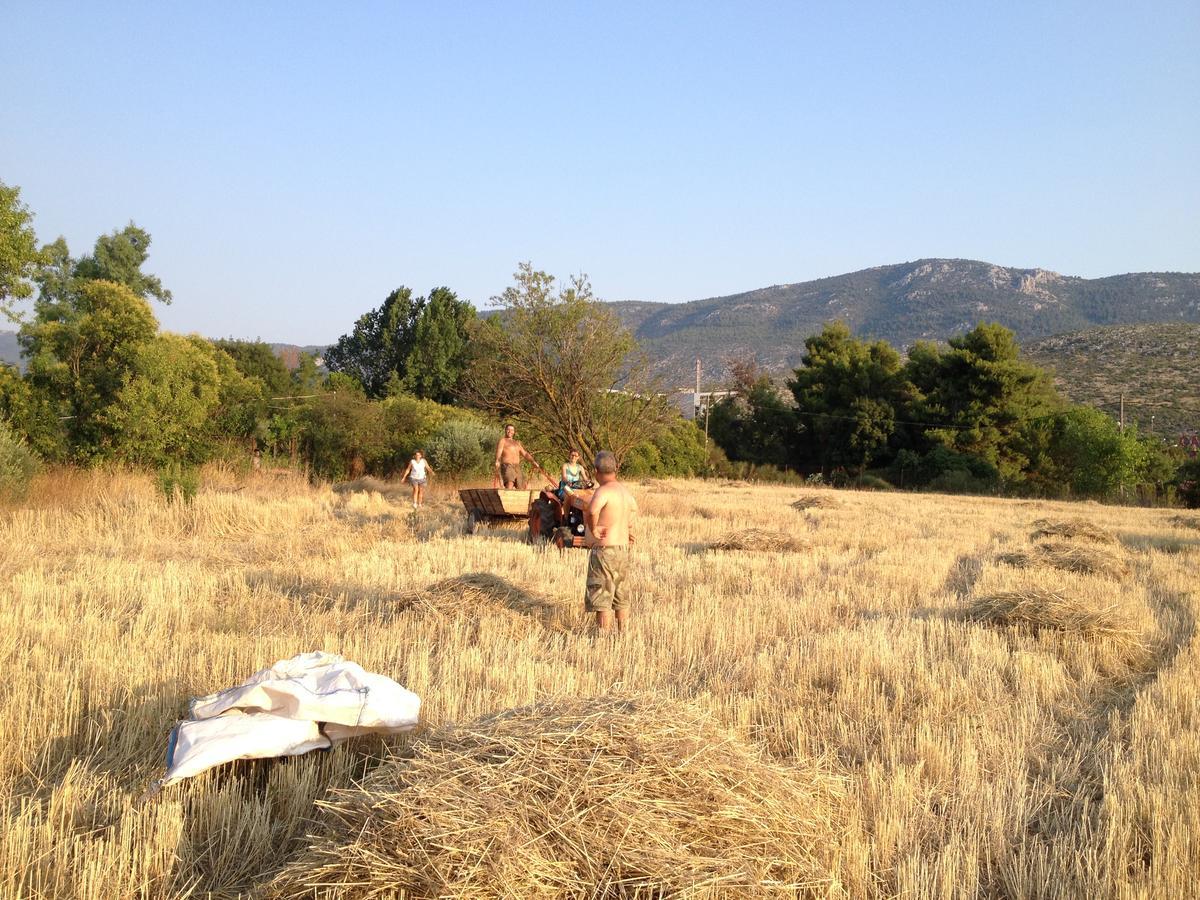 Relax In 'Crazy Farm' Vila Asprokhorion Exterior foto